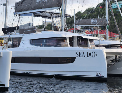 Bali 4.6 – 4 + 1 cab. – Catamaran