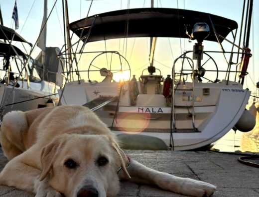 Sun Odyssey 45 – Sailing yacht